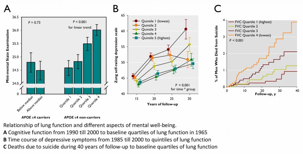 Lung function, cognitive function, depressive symptoms and suicide